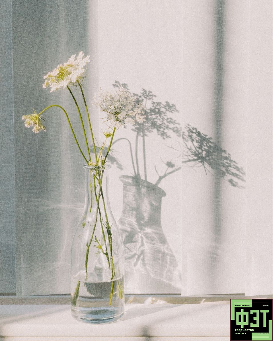 Альбом 29.03.26 в рамках ФЭТ