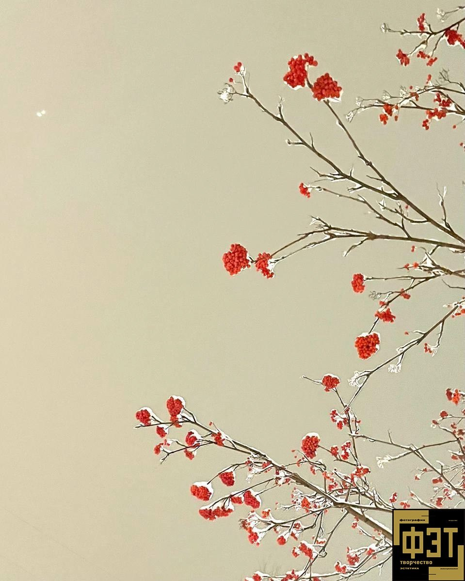 Выбор зрителей 23.11.25