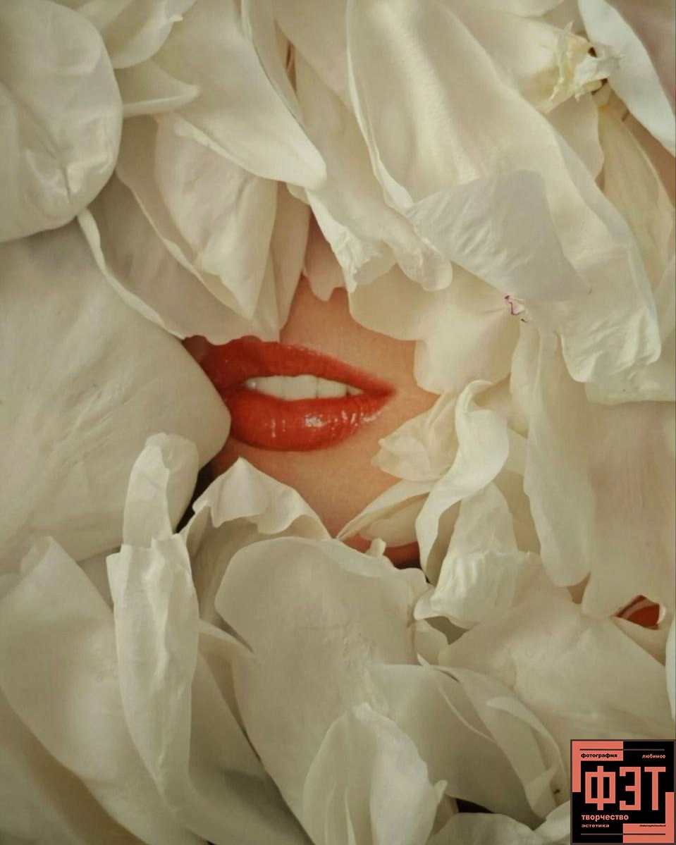 Альбом 08.03.26 в рамках ФЭТ