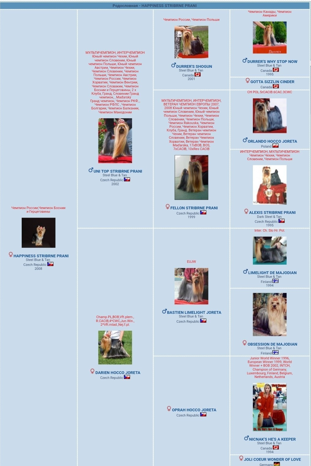 Happiness Stribrne Prani. Питомник Йоркширских терьеров Дэнстайл в Санкт-Петербурге заводчик Тих