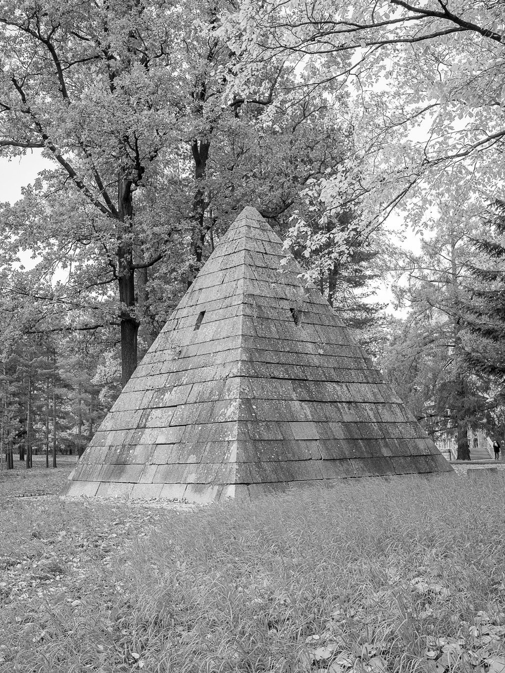 Buy prints. Vasily Pindyurin visual artist