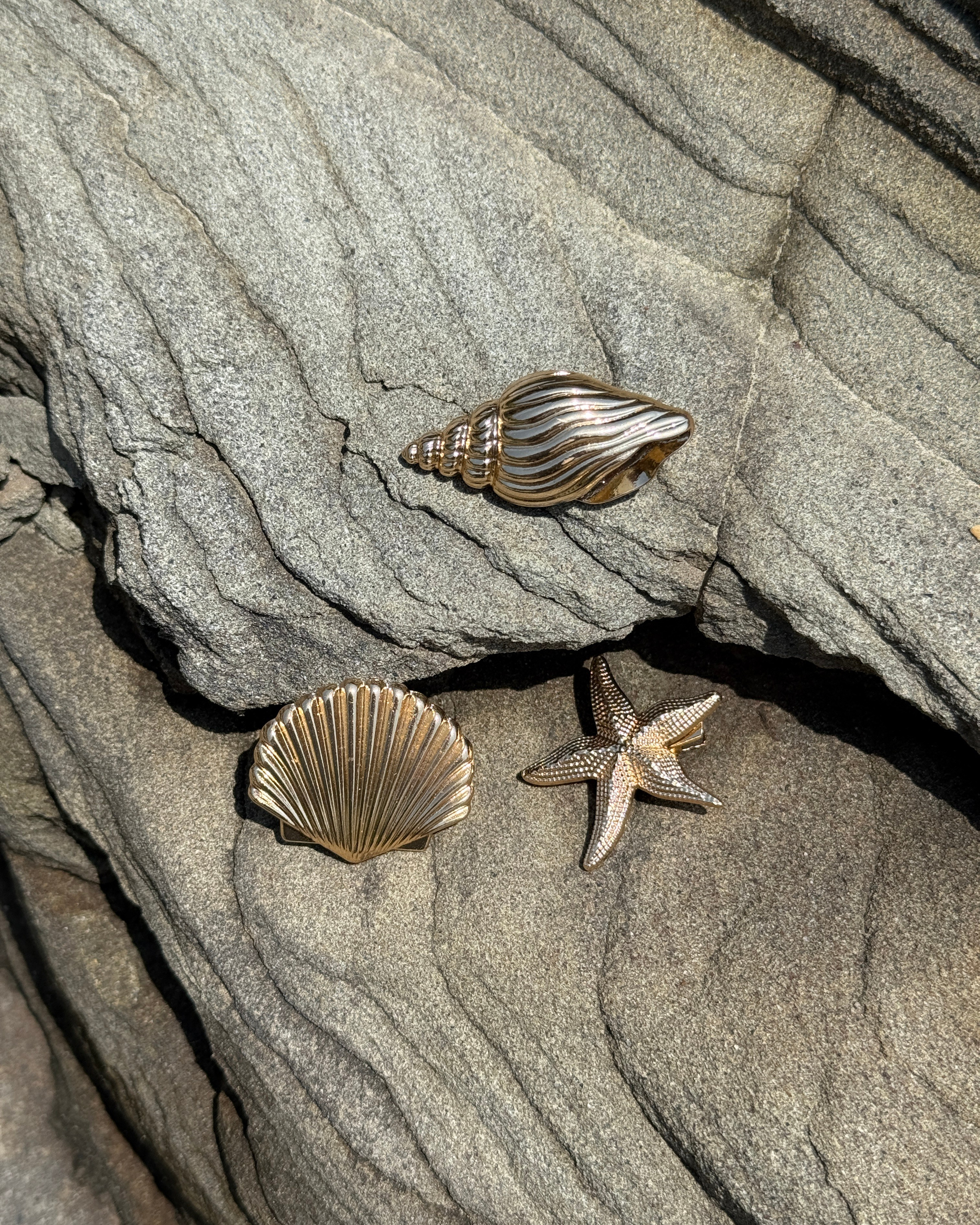 Аксессуары. Iva rent