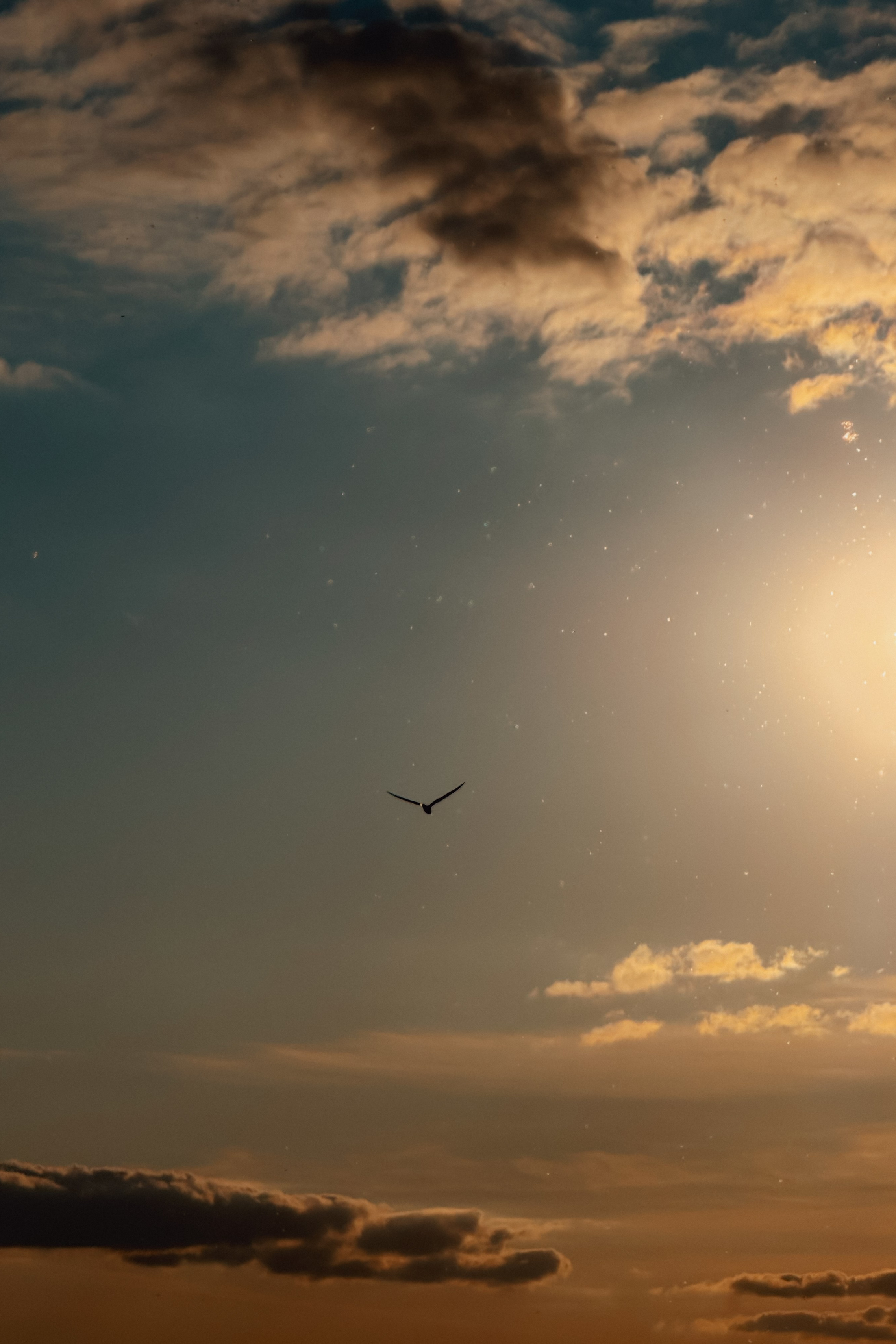 Работы учеников. ФОТОШКОЛА VISION — курс по мобильной фотографии в Москве, курс по фотографии Владимира Васильева