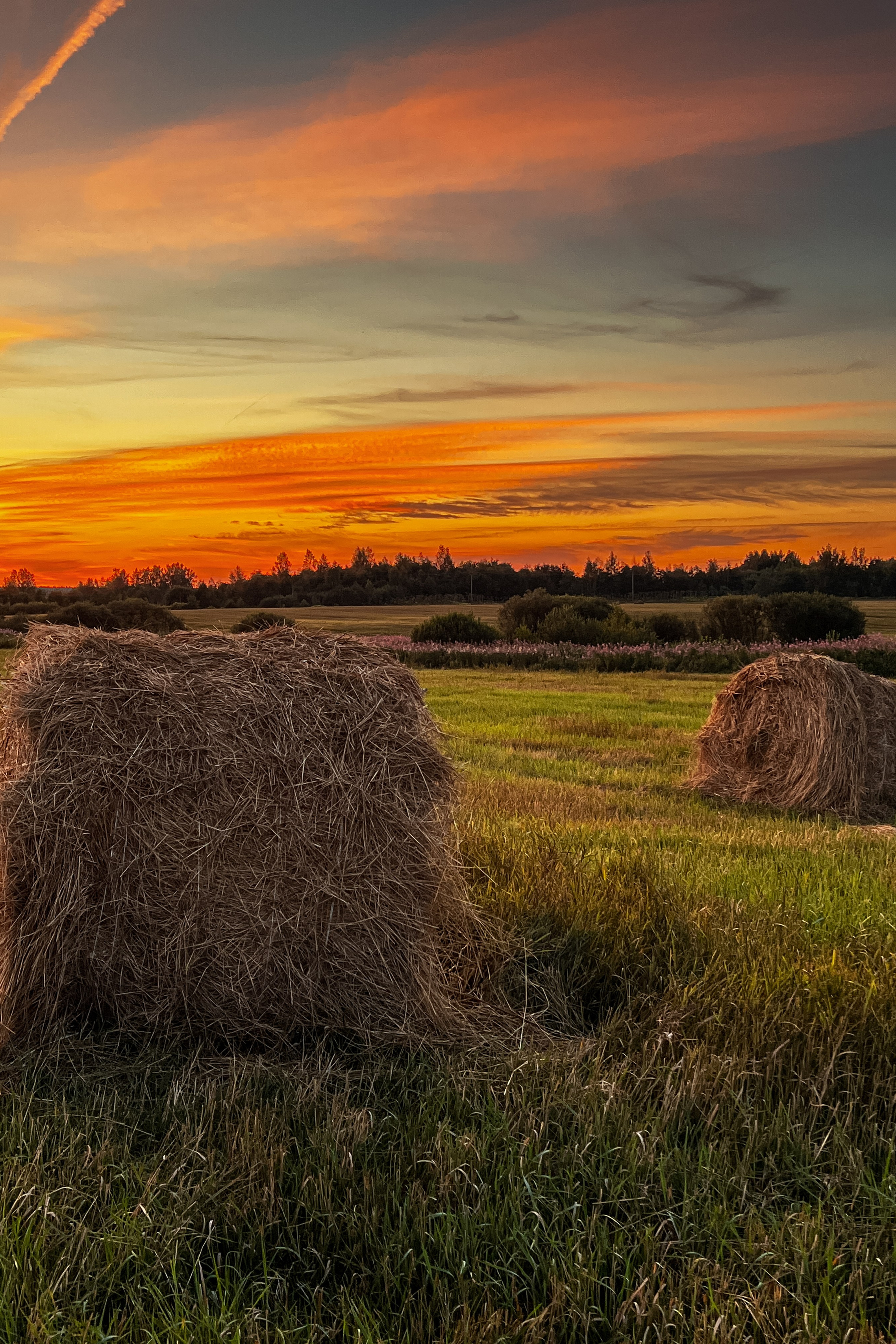 Работы учеников. ФОТОШКОЛА VISION — курс по мобильной фотографии в Москве, курс по фотографии Владимира Васильева
