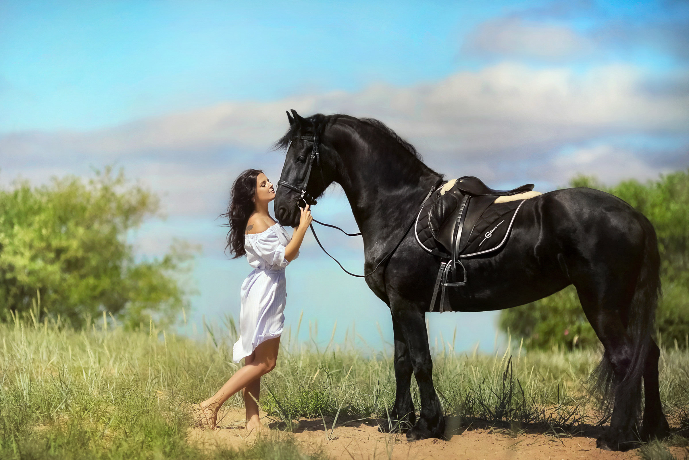 Стоимость конной фотосессии. Фотограф женский и мужской портрет Санкт-Петербург