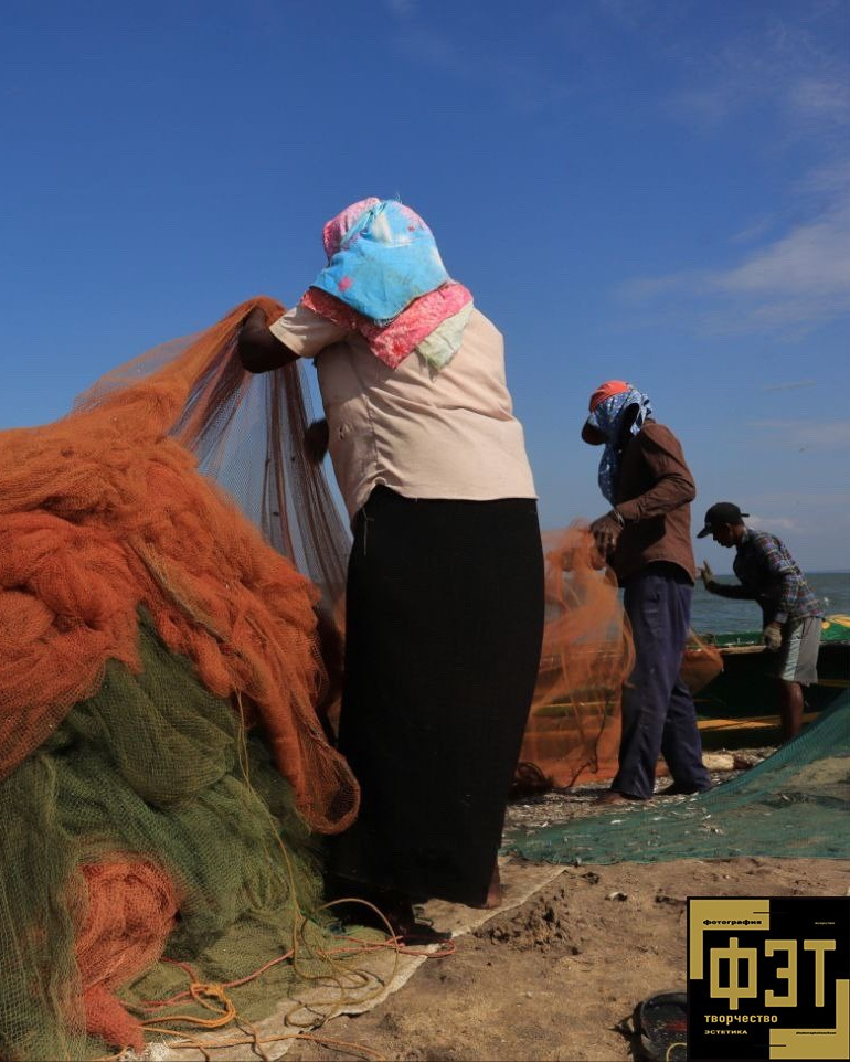 Выбор зрителей 01.03.26