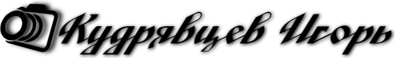 kudryvcev.ru