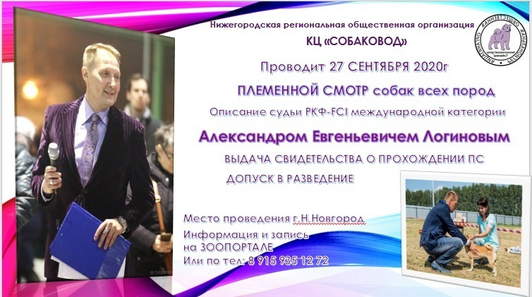 Племенной смотр 27.09.2020 г судья РКФ-FCI — А. Е. Логинов. НРОО КЦ "Собаковод"