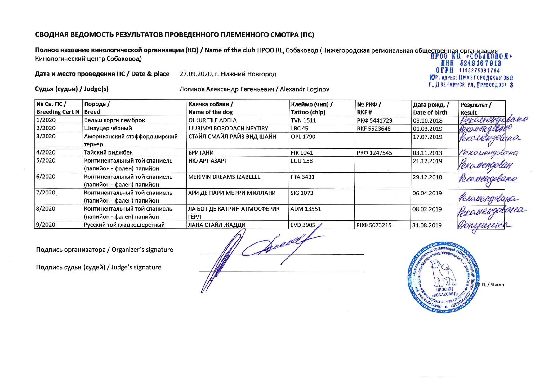 Племенной смотр 27.09.2020 г судья РКФ-FCI — А. Е. Логинов. НРОО КЦ "Собаковод"