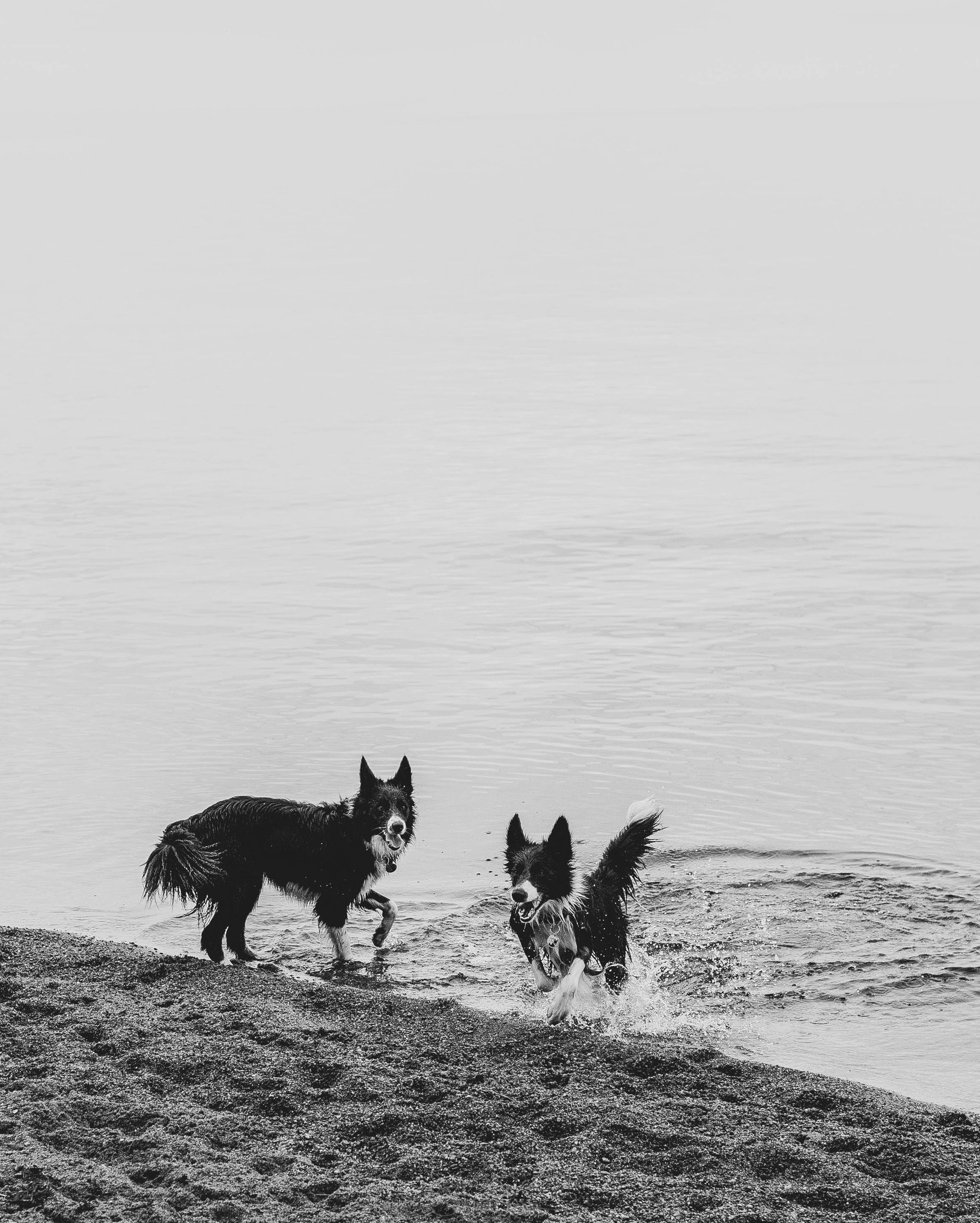 Услуги. Главная