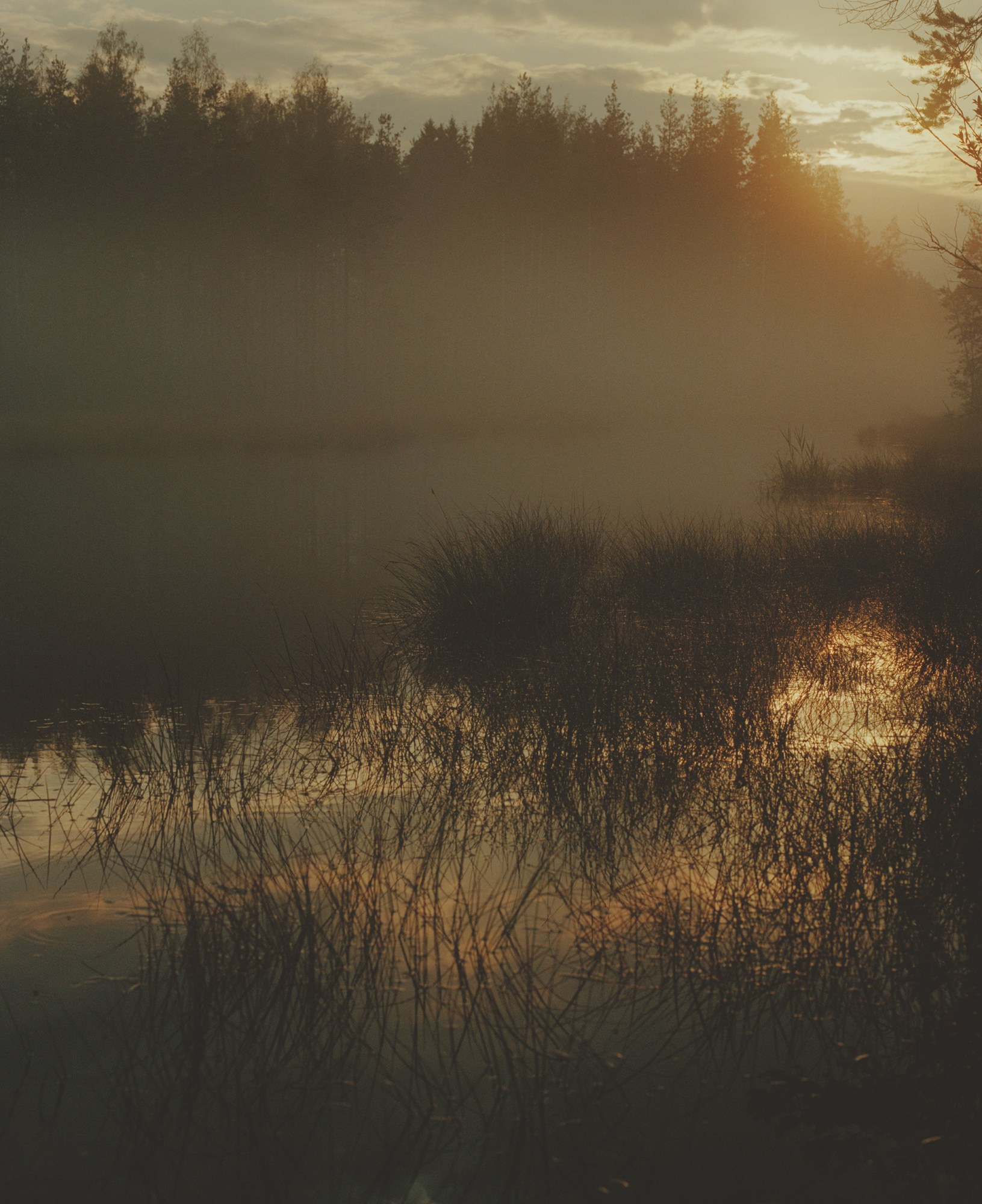 INTERVIEW WITH THE ARTIST: Maja Daniels. Самоорганизация Низина