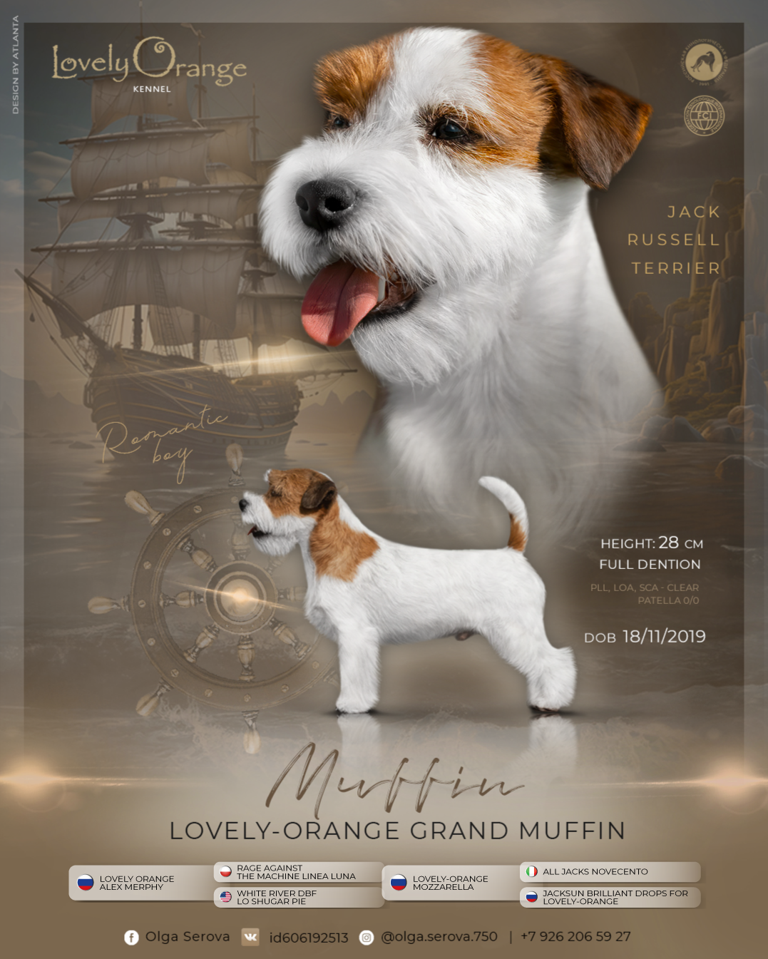 LITTER «M» 11.12.2025. Lovely Orange kennel Jack Russell Terrier FCI/RKF