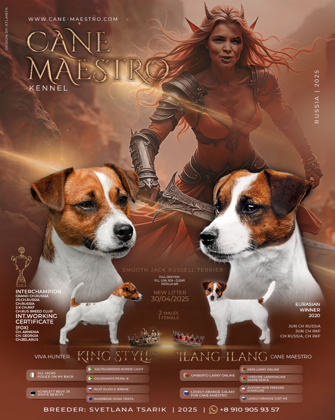 Презентации новых пометов щенков Джек рассел терьер. КАНЕ МАЭСТРО — питомник Джек рассел терьеров