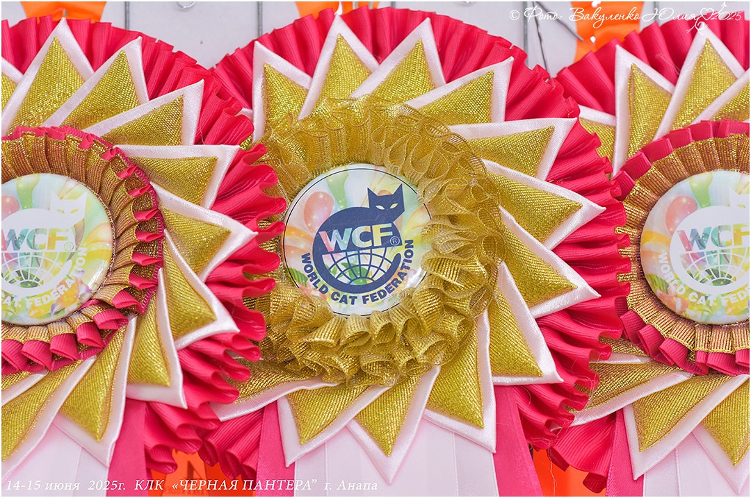 2025. Фотограф анималист | семейный Юлия Вакуленко, г. Краснодар