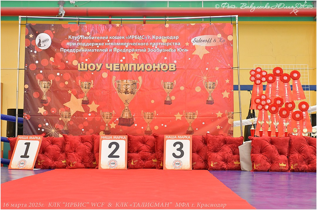 2025. Фотограф анималист | семейный Юлия Вакуленко, г. Краснодар