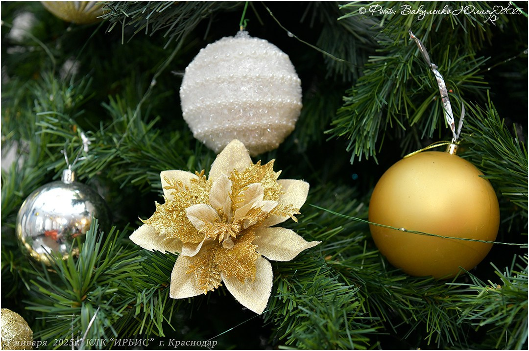 2025. Фотограф анималист | семейный Юлия Вакуленко, г. Краснодар