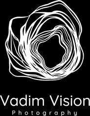 vadimvision.com