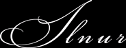 ilnur-gatin.com