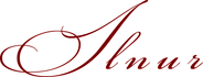 ilnur-gatin.com