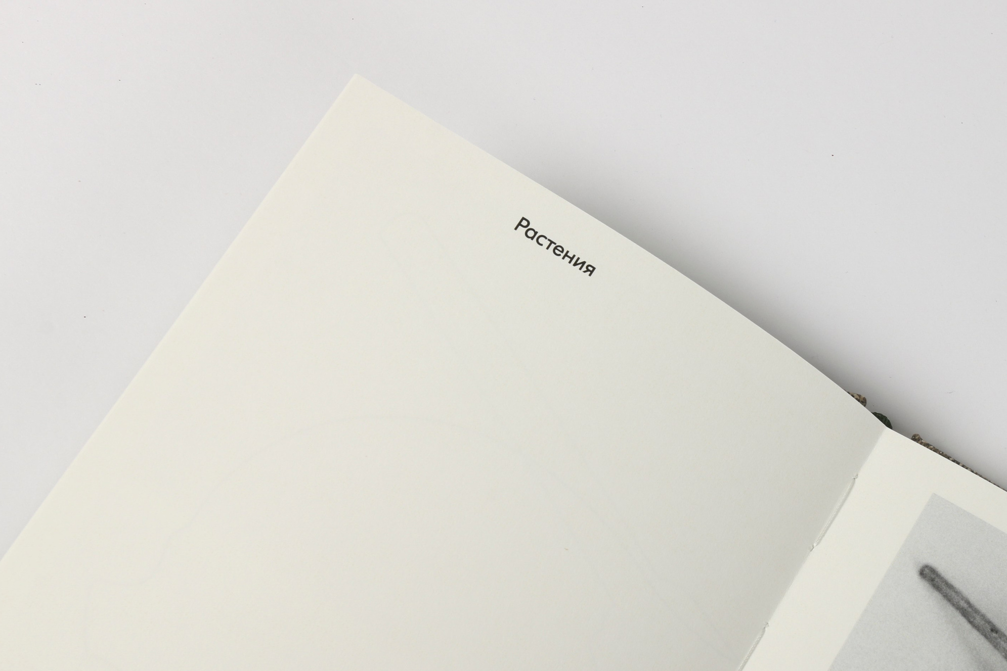 Предметная фотография. Фотограф Злата Спицына