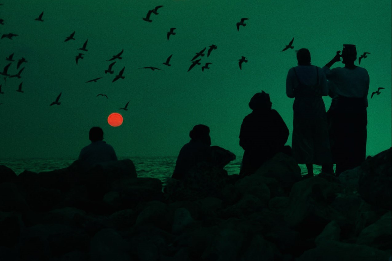 Серия «Soul Wings» на фото Omar Eltahan, Июнь, 2024