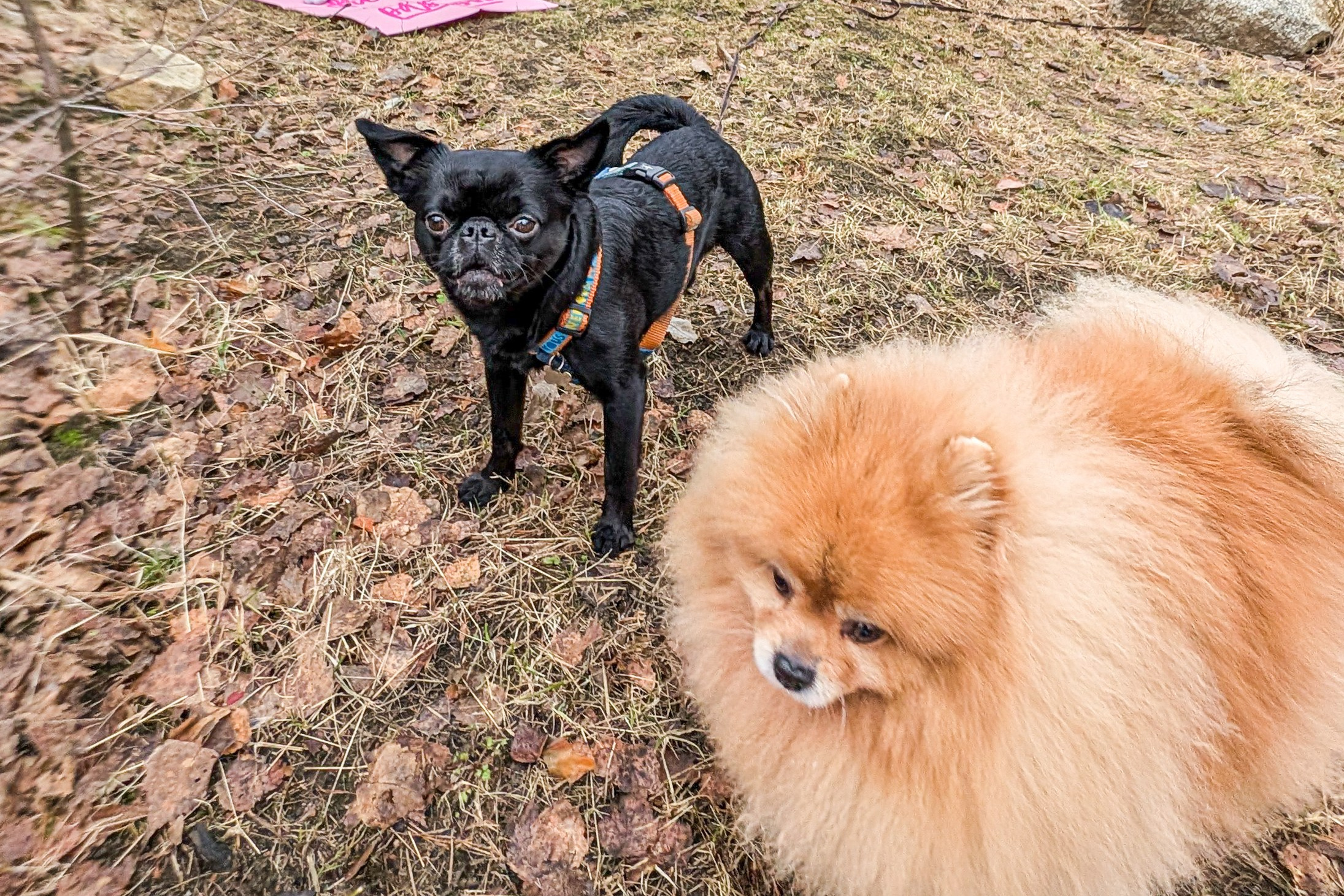 Женский выезд «Сила Рода 2.0». Ароматестирование по методу Аромакод и Нейростатус в Санкт-Петербурге