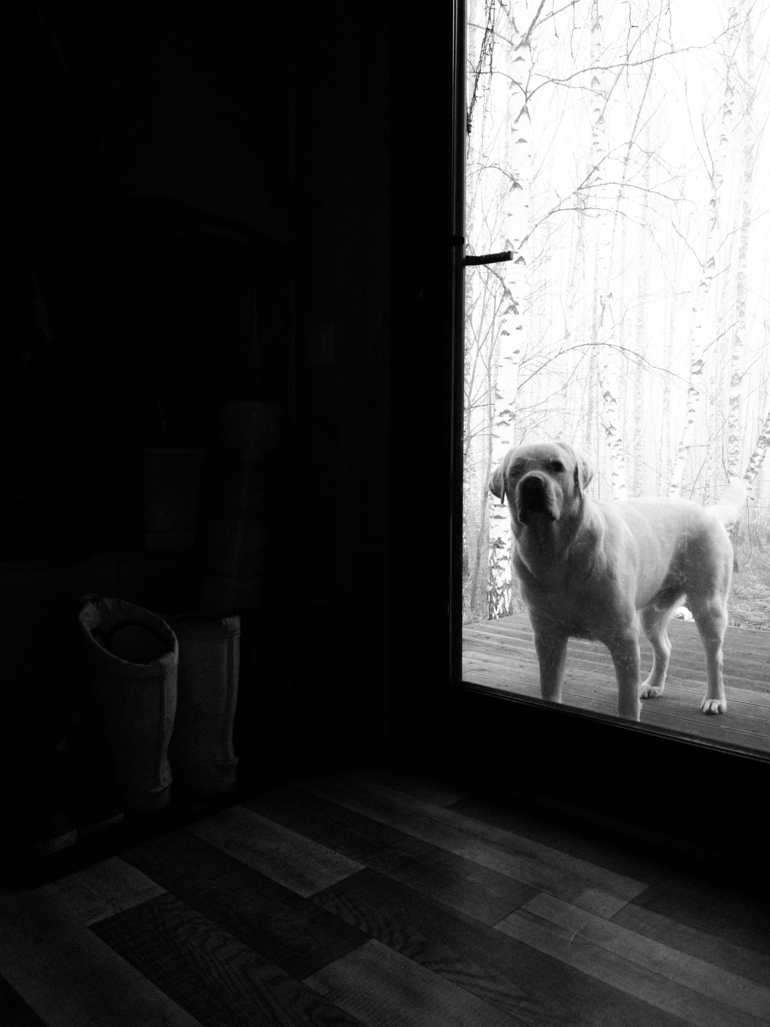 Как выжить фотографу в 2026 году. Сюжетный и репортажный фотограф, Миша Муромцев