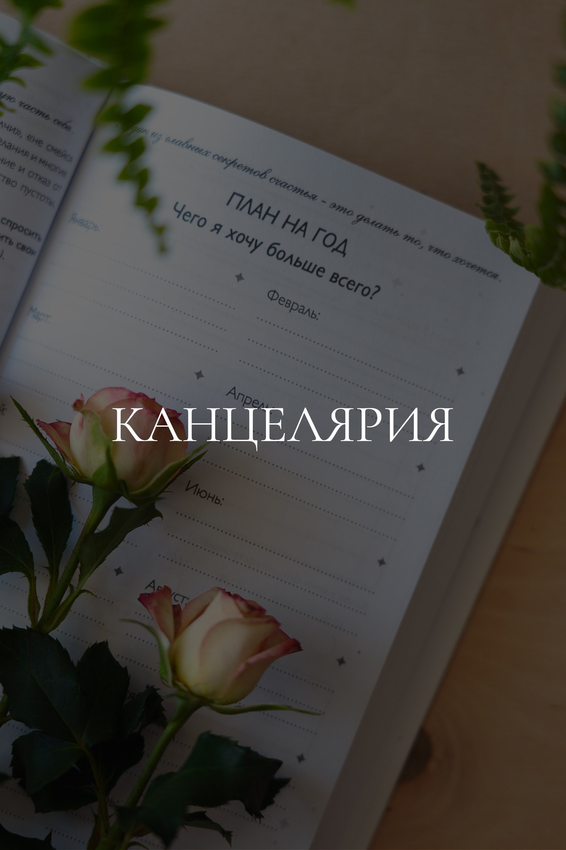 Предметный фотограф | Москва | Надежда Мытник