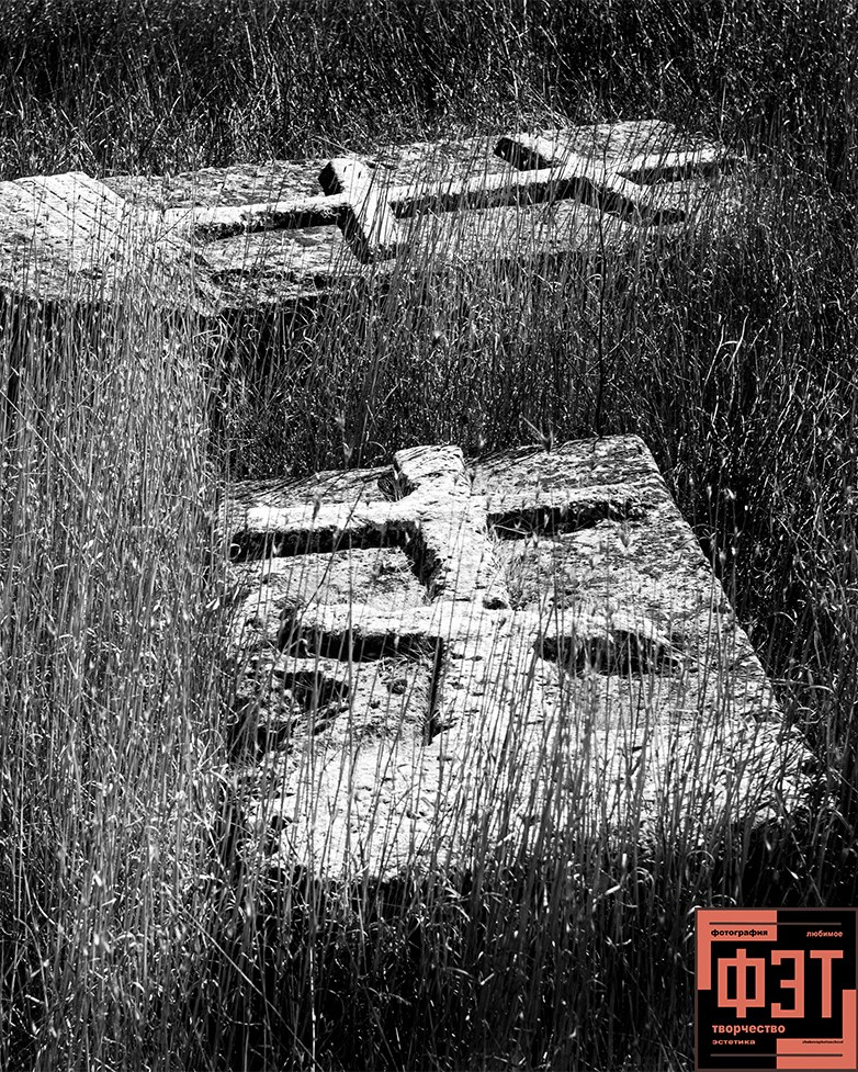 Альбом 12.04.26 в рамках ФЭТ