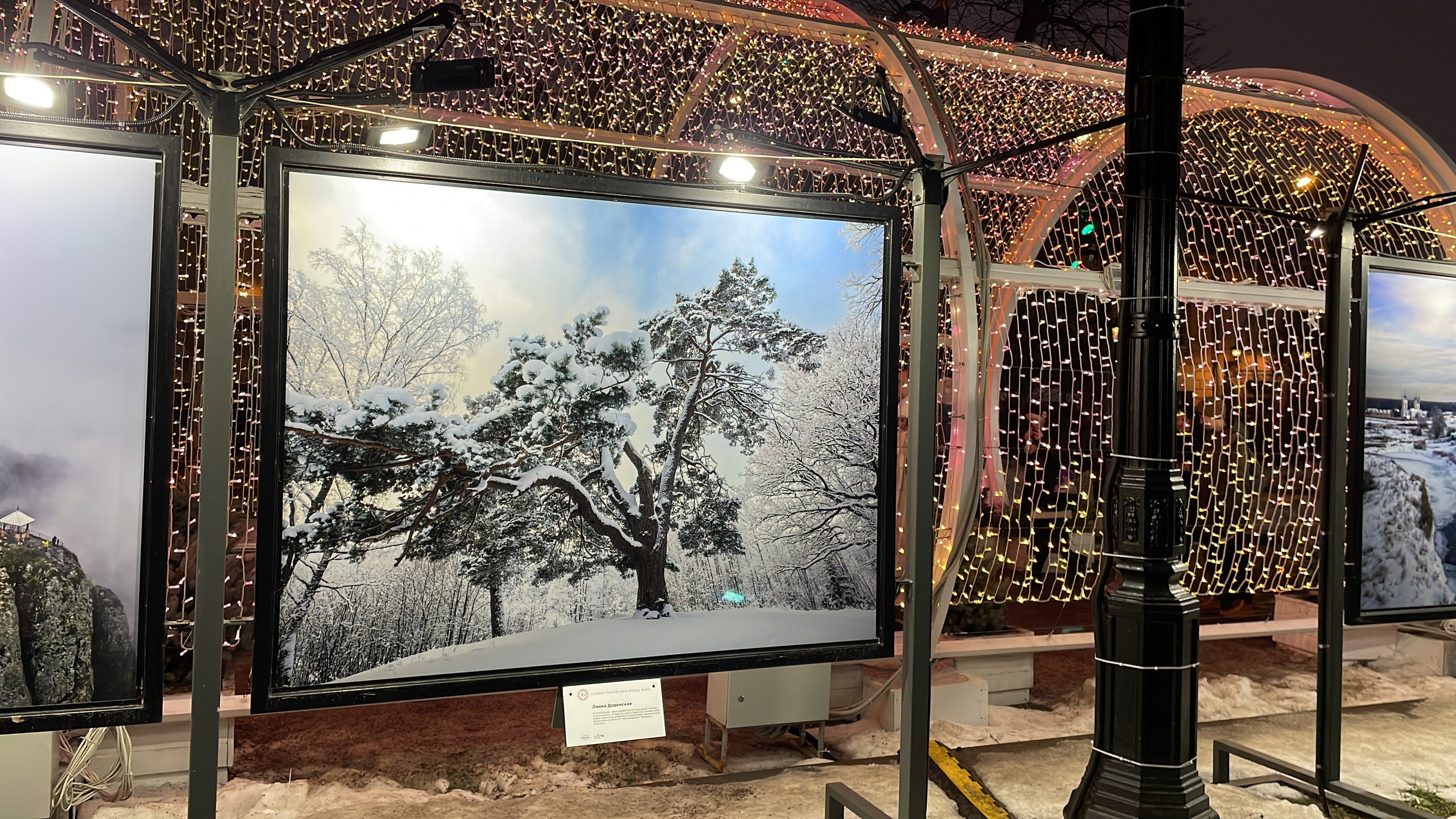 Выставочные. проекты. Визуальный художник Лиана Даренская, Москва