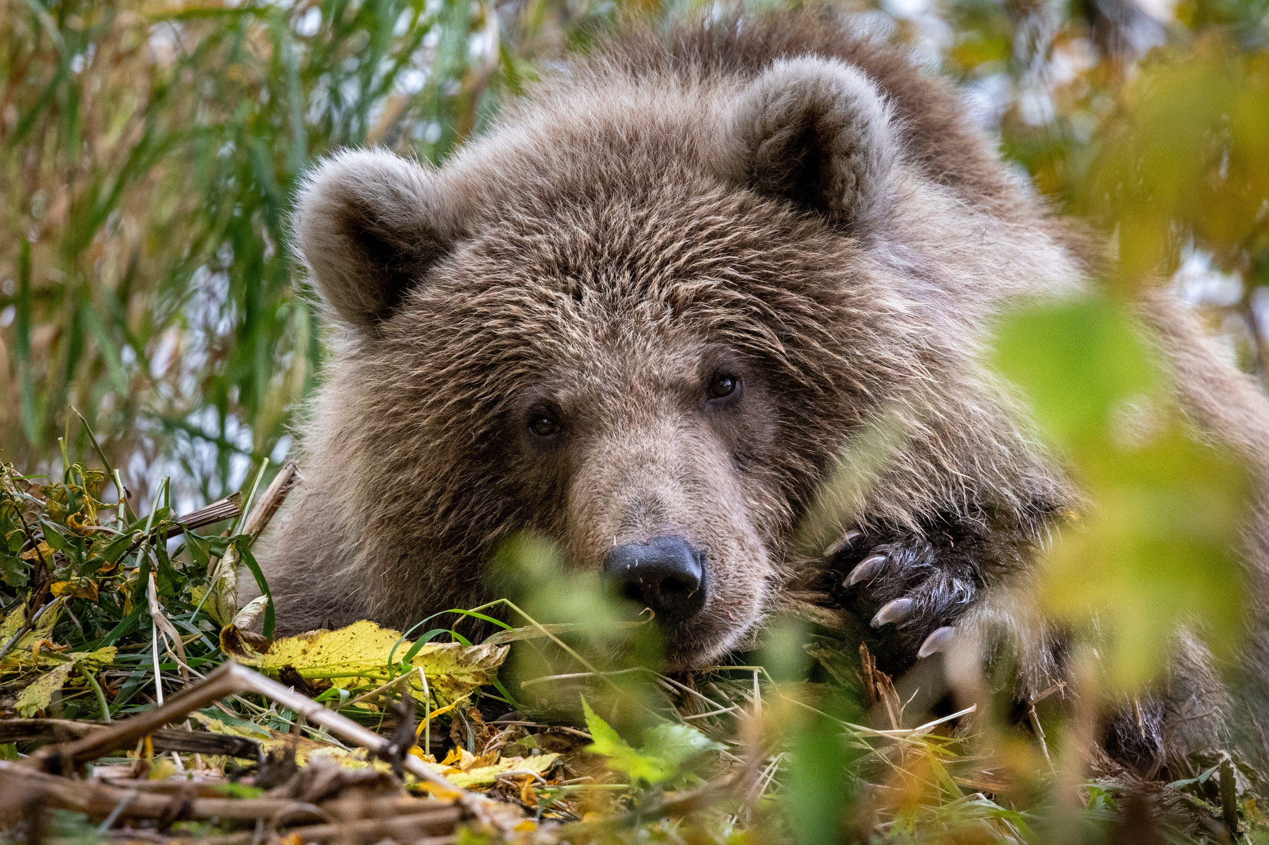 Путешествия по Камчатке и Северным Курилам. Время Камчатки: чтобы найти свой путь, нужно скорость умножить на время