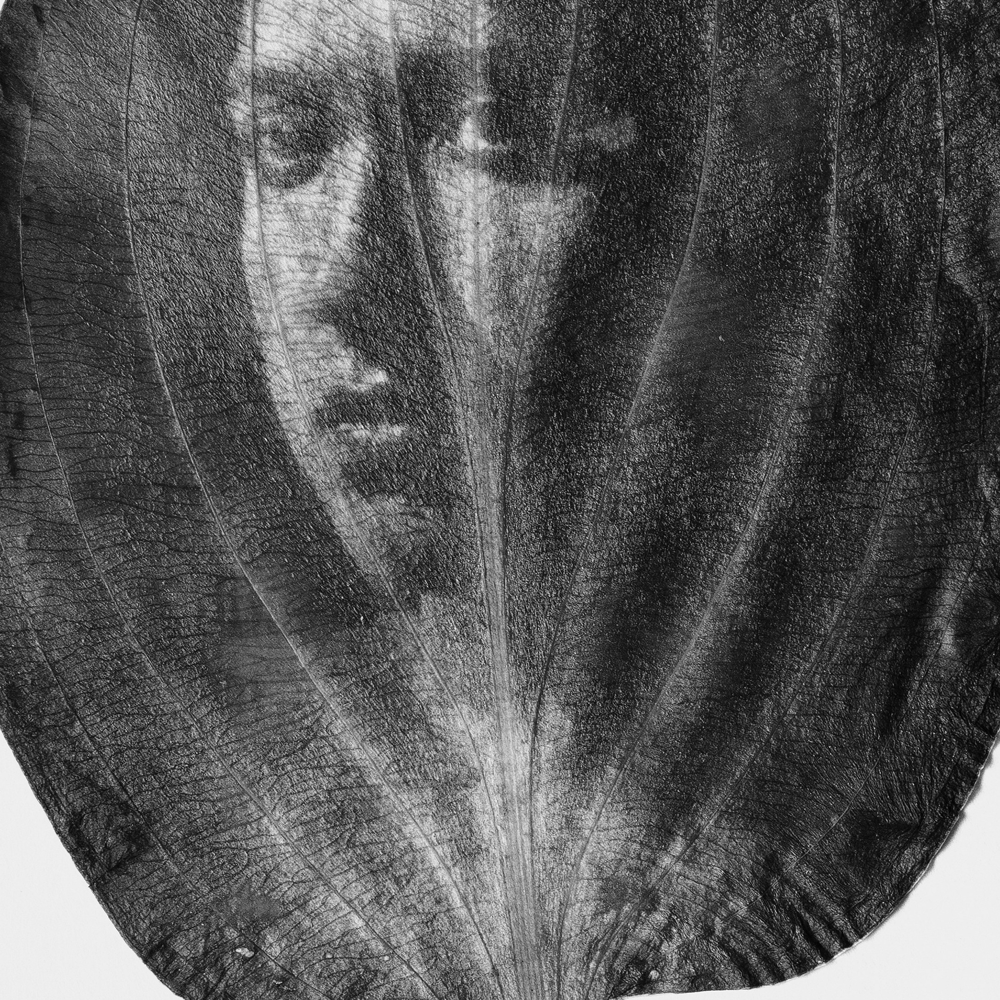 Февраль 2026. Автор месяца проекта для фотографов ФЭТ