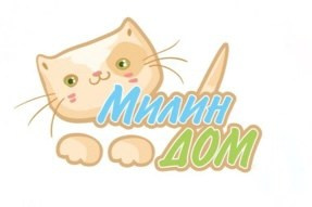 Предметный фотограф и видеограф, ИИ генерации в Москве Карсакова