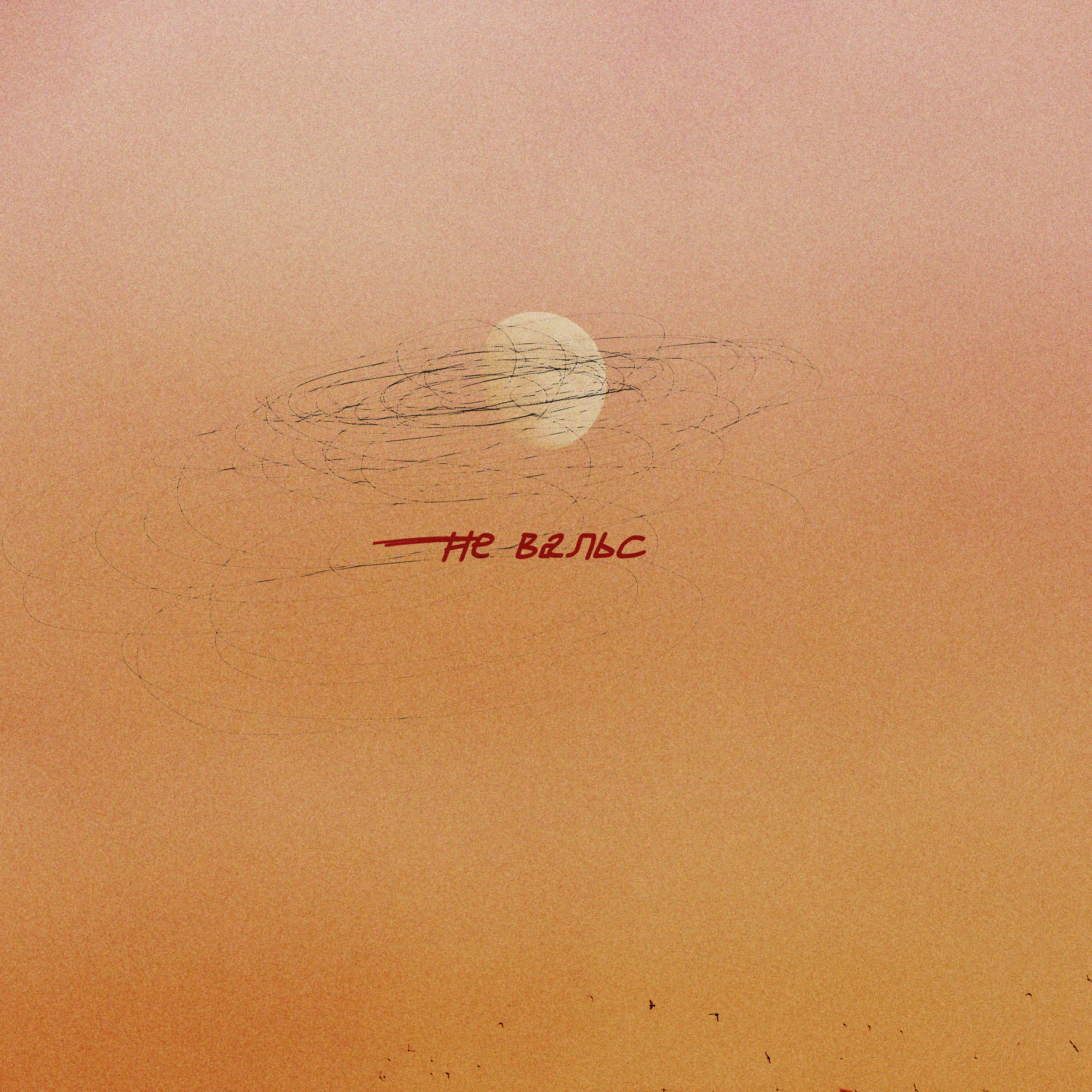 ОБЛОЖКИ. Кинематографичный фотограф, видеограф Лина Плешакова, Санкт-Петербург