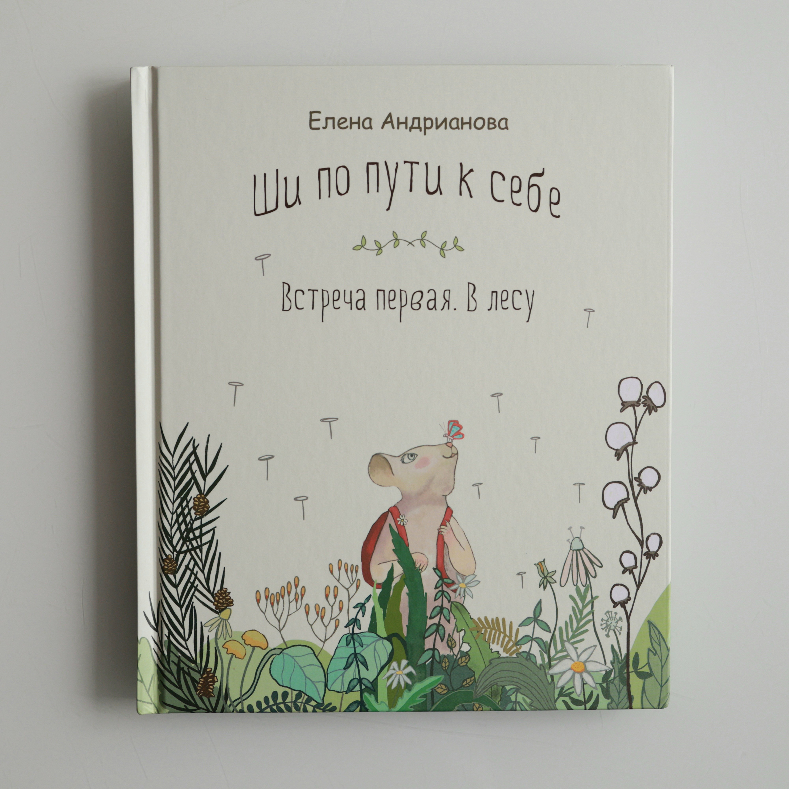 Книга «Ши по пути к себе» Елены Андриановой
