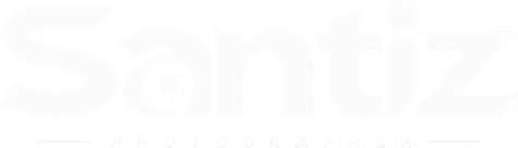 santizz.ru