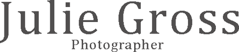 juliegross.wfolio.pro