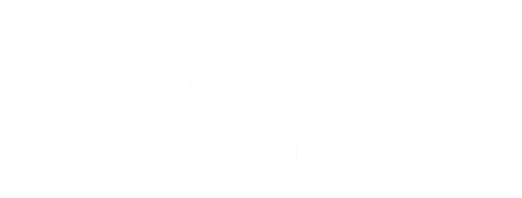 bezguzova.wfolio.pro