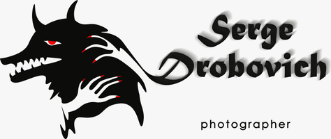 serge-drobovich.ru