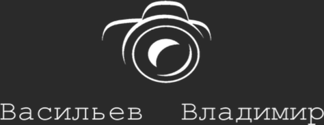 vvasilev.ru