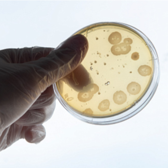 ПРОЕКТЫ КАФЕДРЫ. Главная