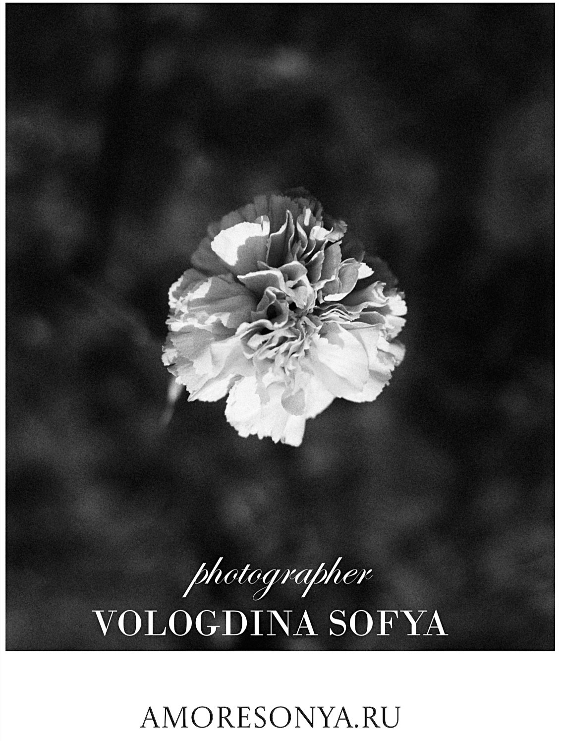 Подарочные сертификаты. Фотограф в Калининграде, Софья Вологдина