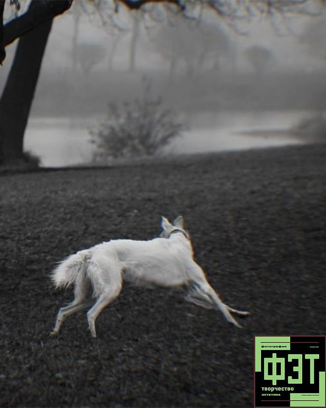 Альбом 23.11.25. ФЭТ