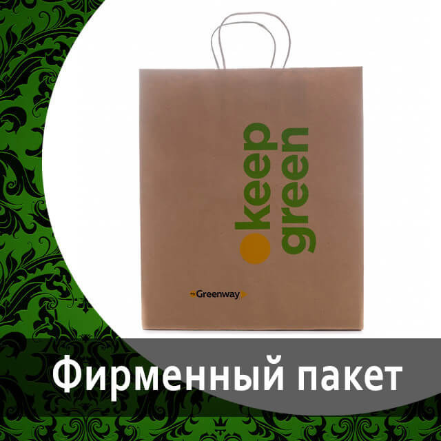 Большой подарочный пакет с ручкам "Greenway" от Гринвей — купить