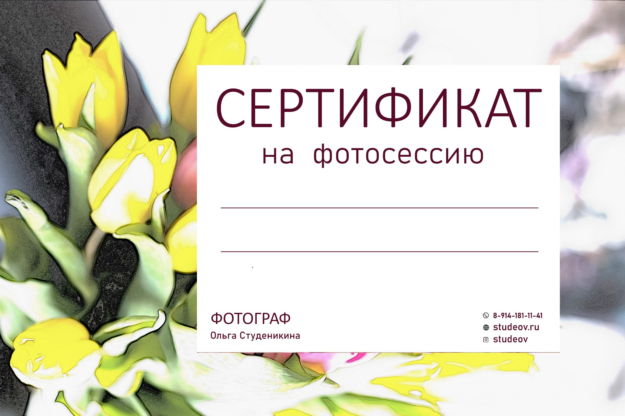 Сертификат. Фотограф-психолог в Хабаровске Ольга Студеникина