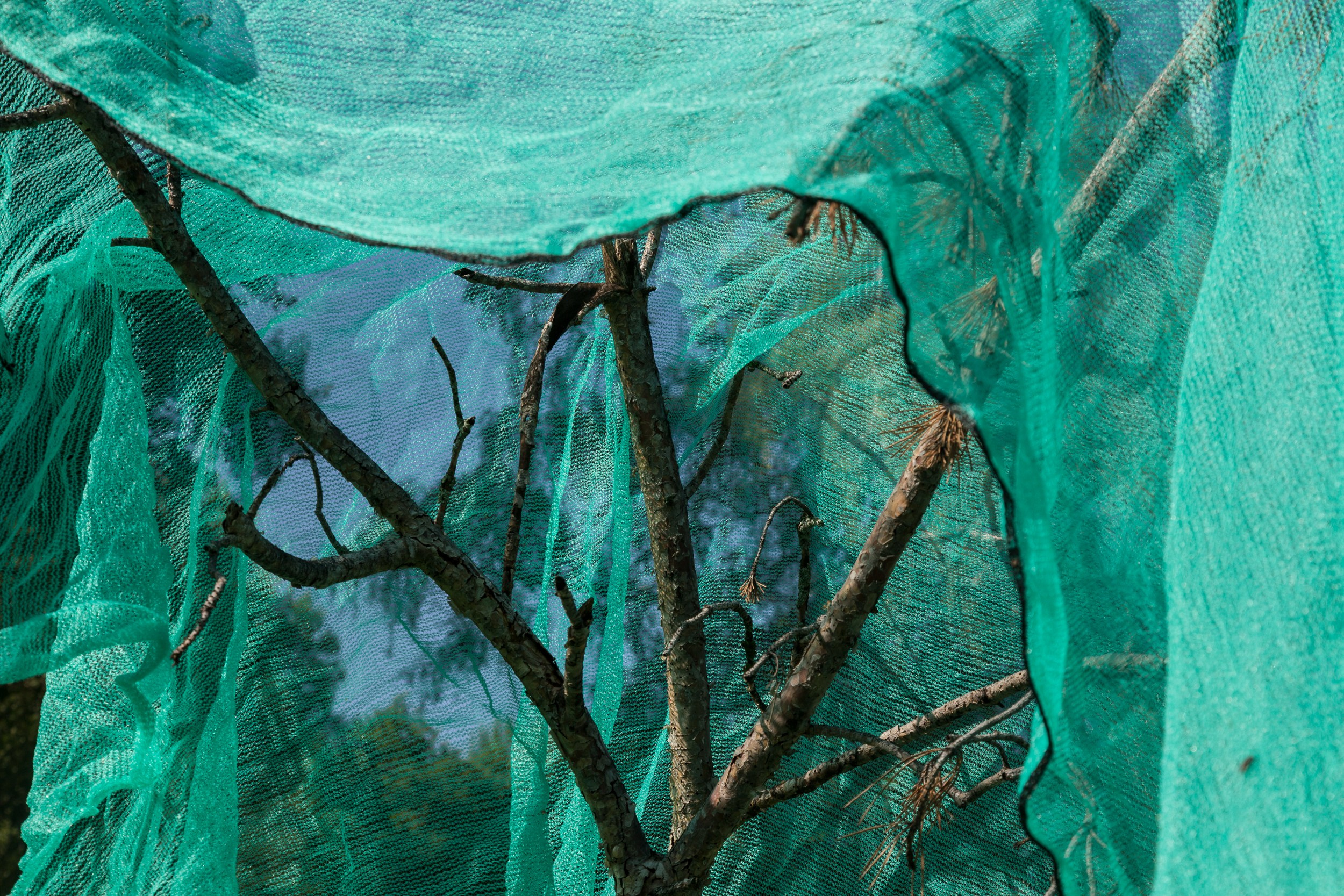 Концептуальные арт проекты. Татьяна Корчагина. Фотограф, художник. Обучение фотографии