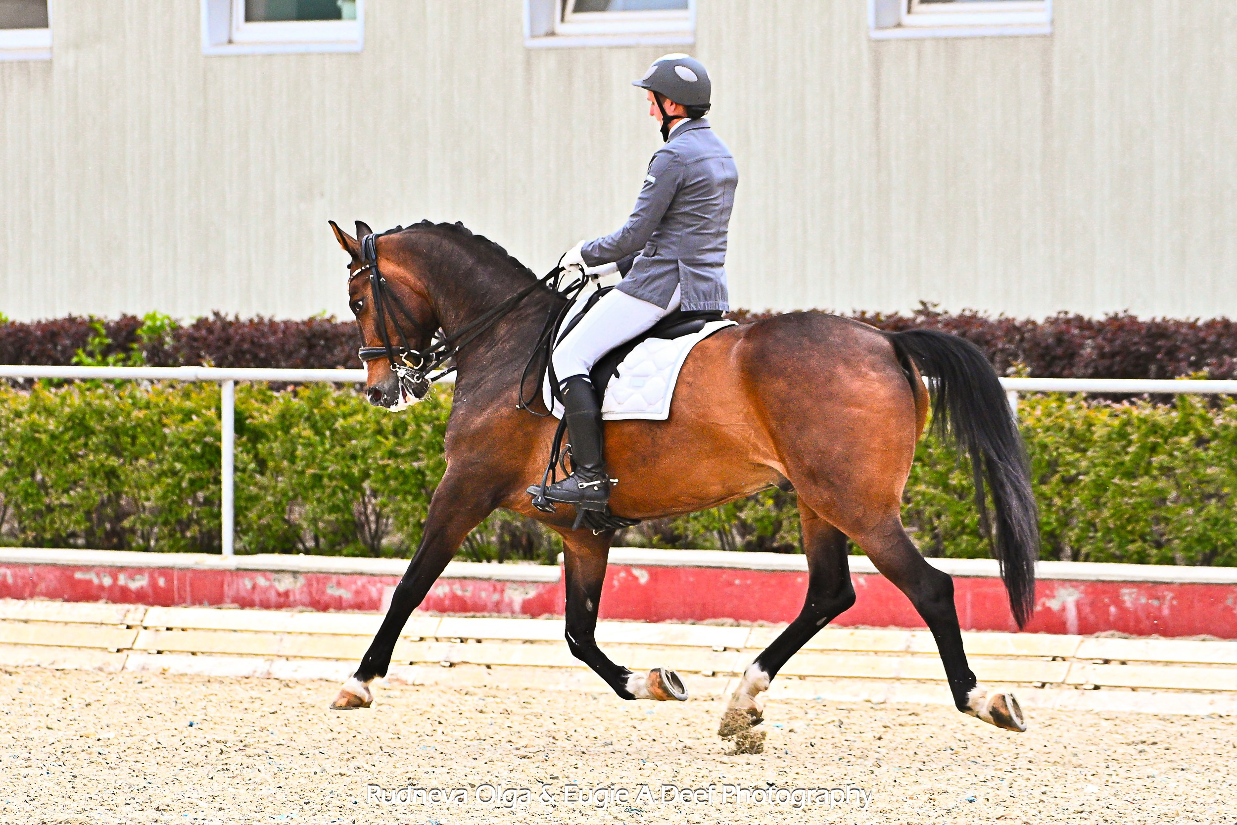 ВЕСЕННЙ БАЛ В КСК «КОНКОРД» (выездка). ТУРНИРНАЯ КОННАЯ ФОТОГРАФИЯ, Руднева Ольга и Евгений Адеев