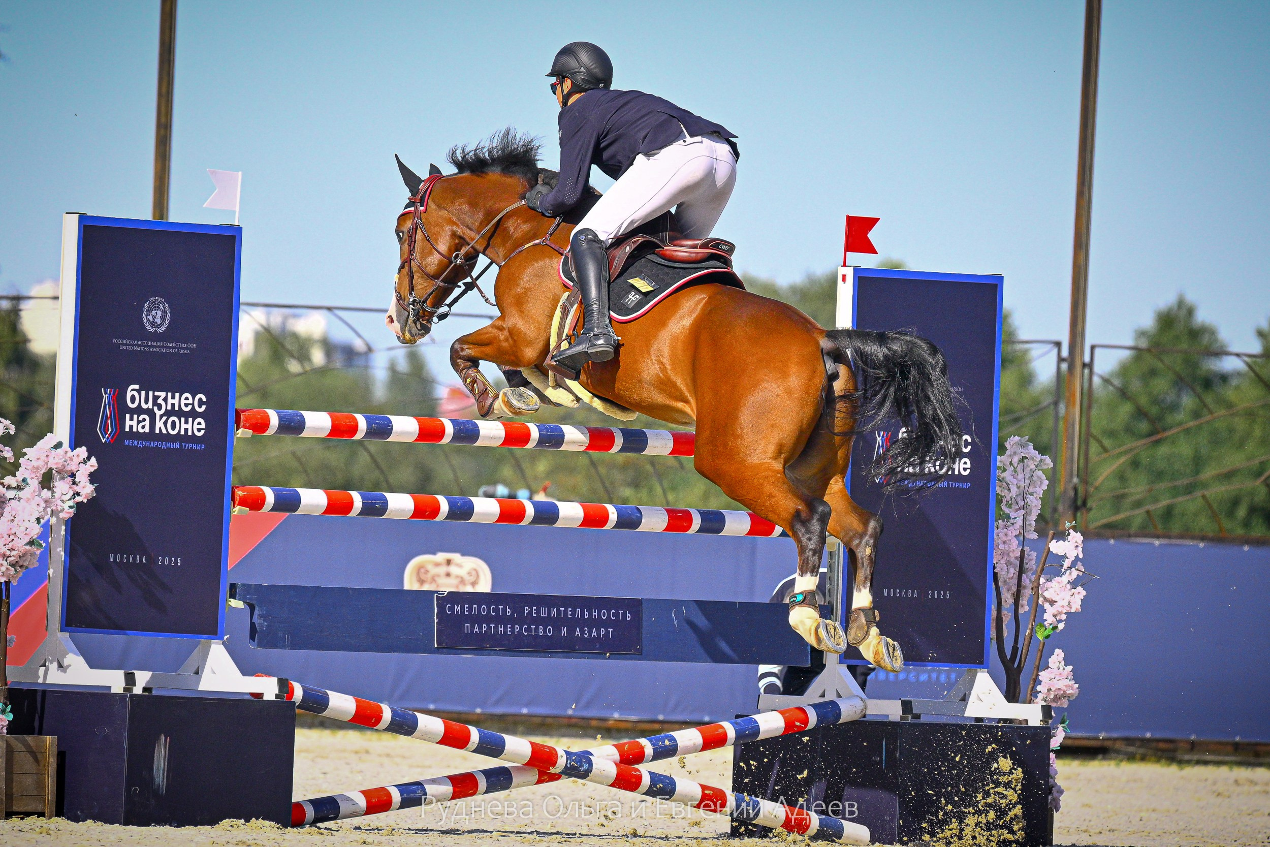 КСК ВИВАТ, РОССИЯ! ТУРНИР БИЗНЕС НА КОНЕ (12,13,14 сентября 2025). ТУРНИРНАЯ КОННАЯ ФОТОГРАФИЯ, Руднева Ольга и Евгений Адеев