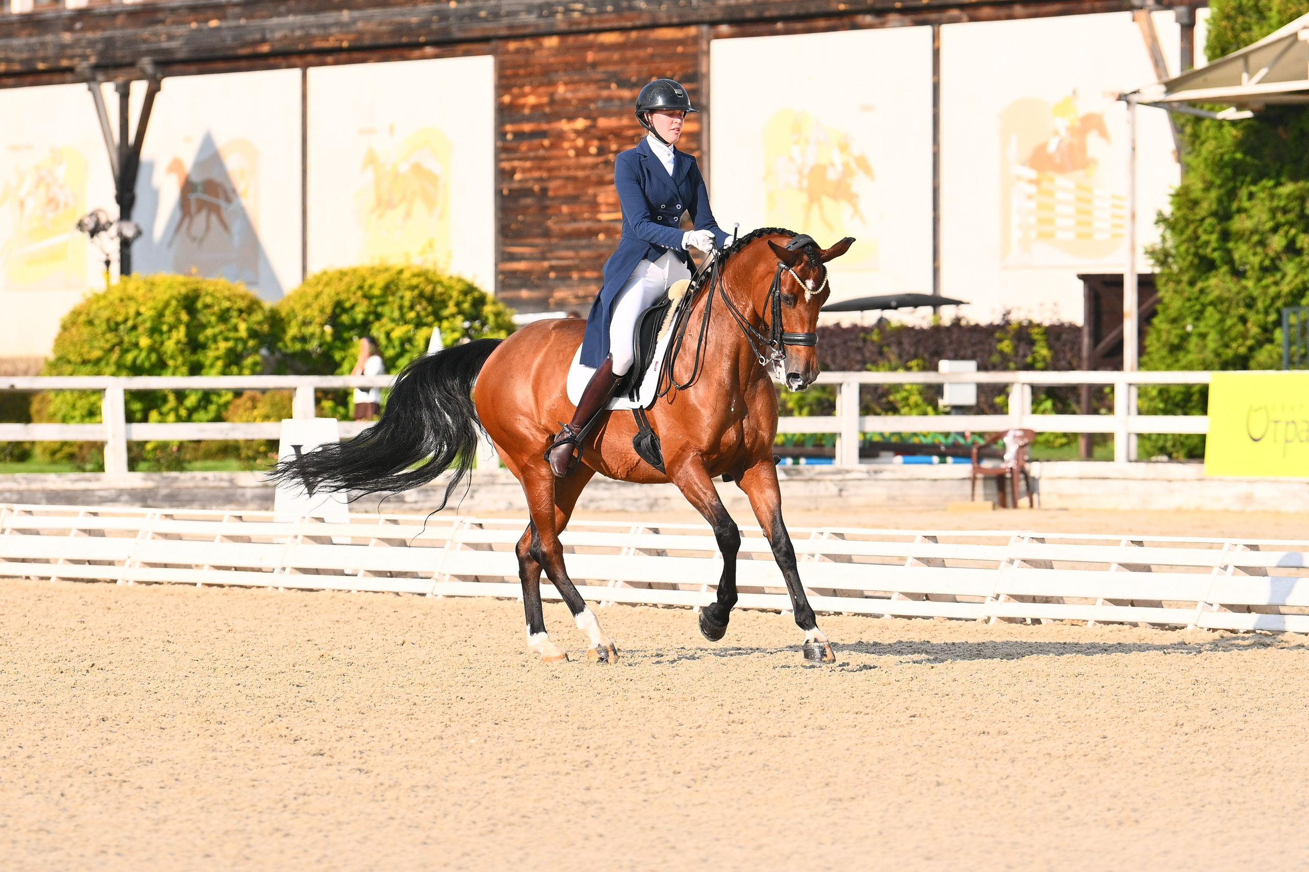 2025.08.29-31 + 09.05 — ВЫЕЗДКА В КСК ОТРАДА (ВСЕРОССИЙСКИЕ И МУНИЦ). ТУРНИРНАЯ КОННАЯ ФОТОГРАФИЯ, Руднева Ольга и Евгений Адеев