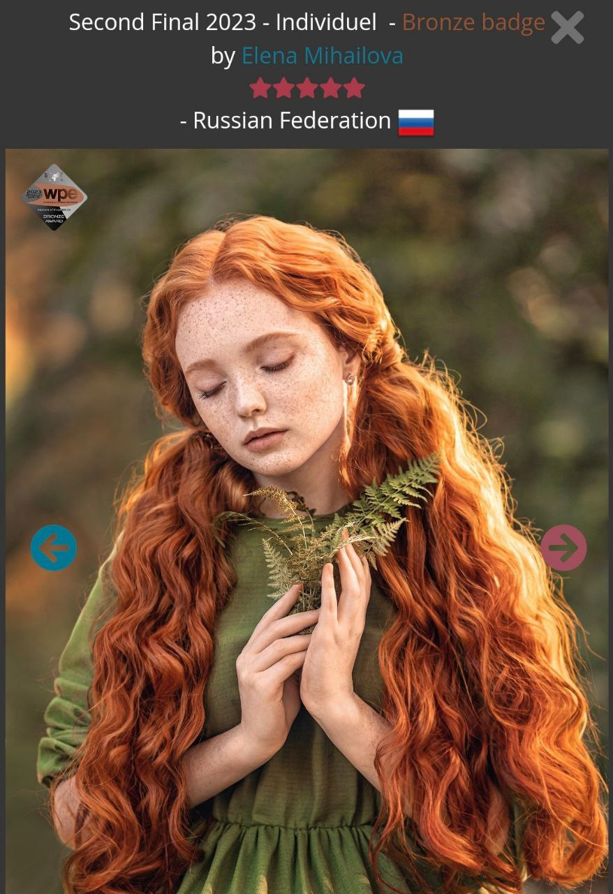 МОИ ДОСТИЖЕНИЯ. Детский и семейный фотограф Елена Михайлова в Москве